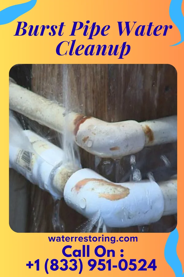 Burst Pipe Water Cleanup in Charleroi, PA