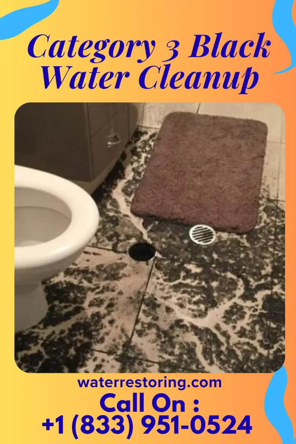 Category 3 Black Water Cleanup in Charleroi, PA