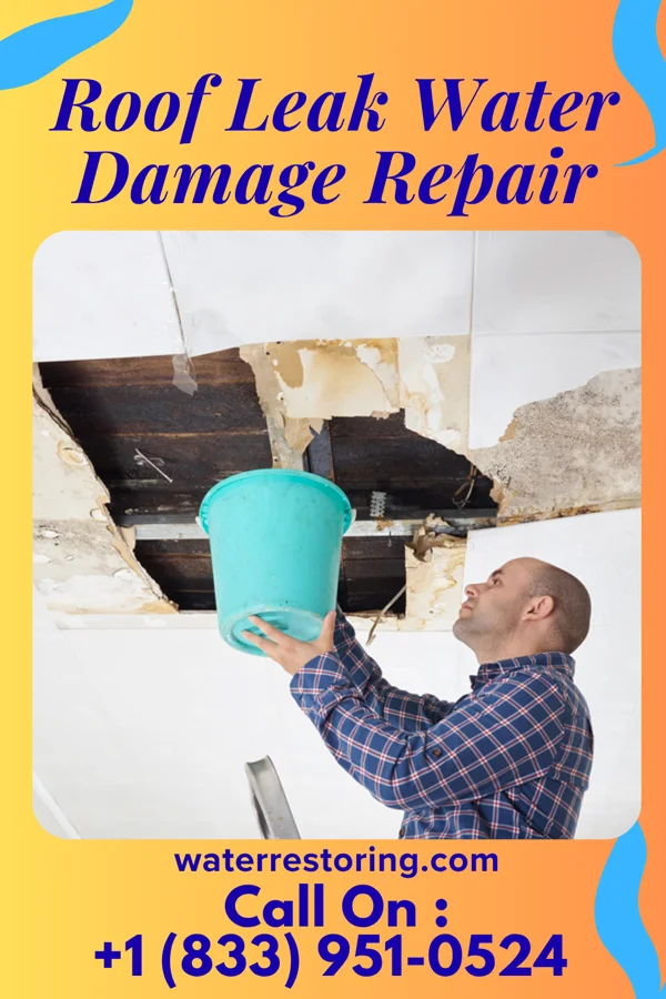 Roof Leak Water Damage Repair in Charleroi, PA