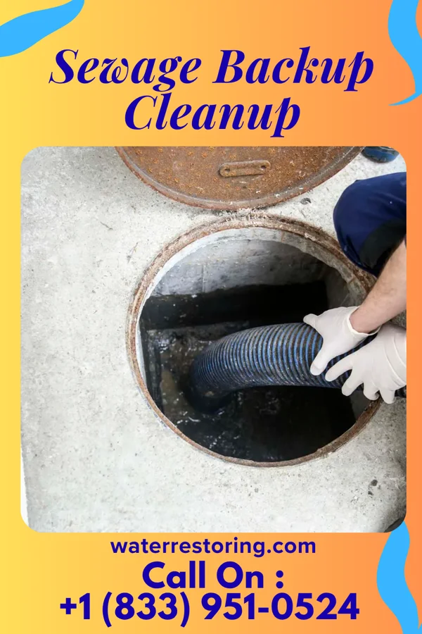 Sewage Backup Cleanup in Charleroi, PA