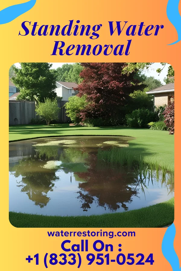 Standing Water Removal in Charleroi, PA